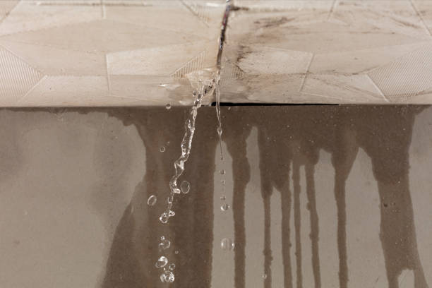 Professional Burst Pipe Cleanup technician working in Bloomington Springs, TN